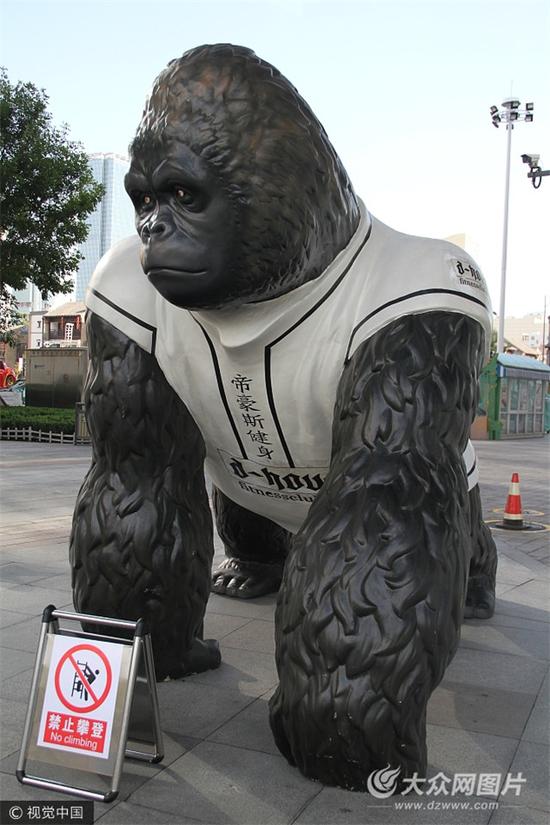 济南街头现巨型“大猩猩”吸眼球。