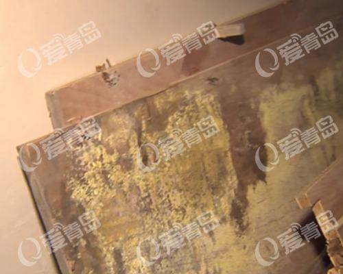 小区物业的工作人员和鲁商置业大楼里的工作人员什么都不肯说,只是让记者去联系上级领导,无奈记者来到小区的售楼中心。