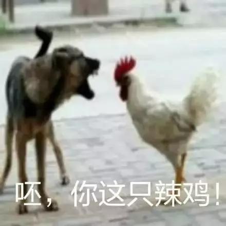 撞人的男子竟然连停车都没停,径自离开了!!!你这火急火燎的就跑了,难道没发现把自己的良心掉了吗?