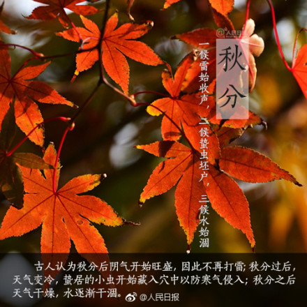 一候雷始收聲：古人認為雷是因為陽氣盛而發聲，秋分后陰氣開始旺盛，所以不再打雷了。