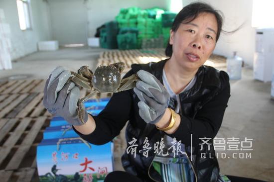 包裝工人們展示今年的黃河口大閘蟹。 聶金剛 攝