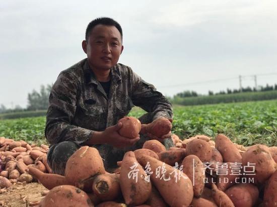 菏澤鄆城小伙王瑞森和他種植的地瓜。齊魯晚報 齊魯壹點記者 崔如坤 攝