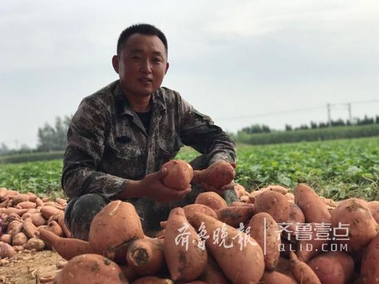 菏泽郓城小伙王瑞森和他种植的地瓜。齐鲁晚报 齐鲁壹点记者 崔如坤 摄