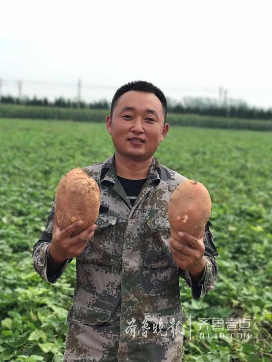 菏澤鄆城小伙王瑞森和他種植的地瓜。齊魯晚報 齊魯壹點記者 崔如坤 攝