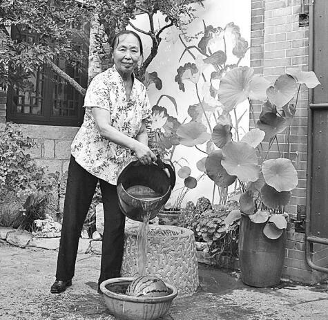 佐泉泉水滋養了王俐家族。