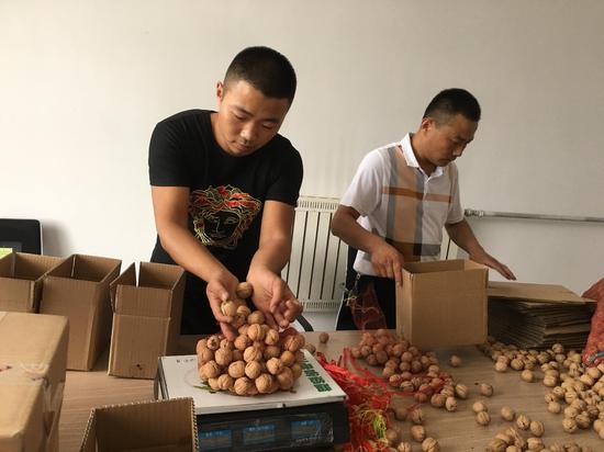 返鄉農民工在農村快遞電商服務中心打包核桃。 見習記者 王瑞超 攝