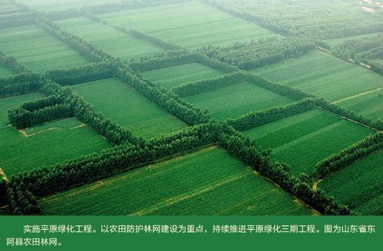“砥砺奋进的五年”大型成就展，图为山东省东阿县农田林网。