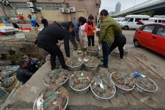 在青岛市渔港码头,渔民从船上卸下海捕梭子蟹运到海鲜市场销售。