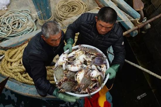 在海鲜市场,渔民正在搬运梭子蟹。