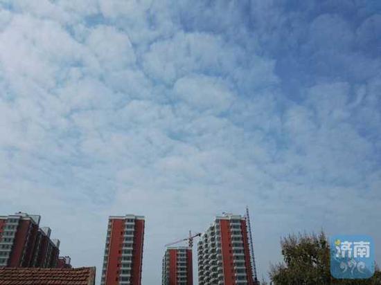 雨水洗刷后的濟南天空，18日上午，迎來了一團團“棉花云”，層疊的云層之間透出碧藍天空。