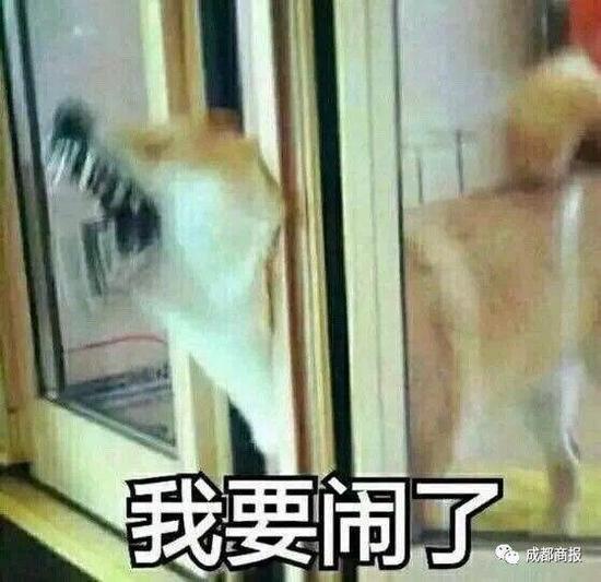 感謝雙十一,讓我達到了高考過后的數學巔峰……