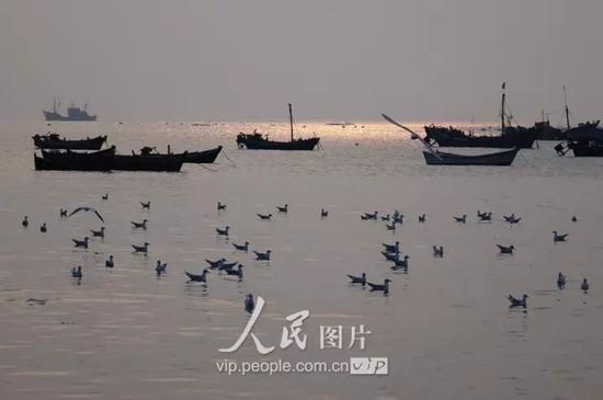 夕阳、渔船、海鸥,静谧而安详的渔家风景图。