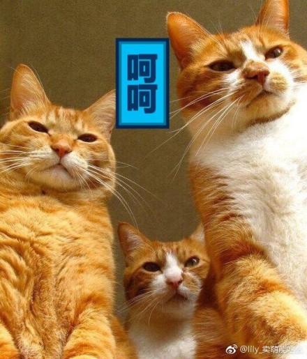 (齐鲁壹点综合)