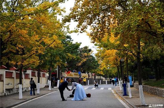 时间来到10月底，八大关一年中最美的秋叶景观即将开启。