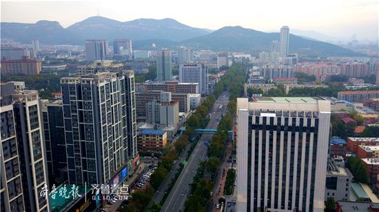 历山路从千佛山脚下一直向北延伸,形成了一条很长的“法桐大道”。