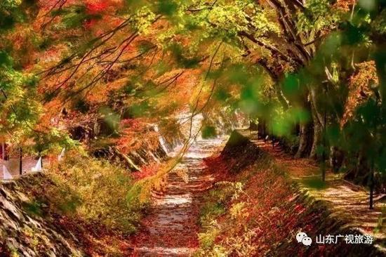 第四天 11月19日