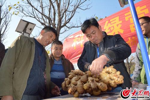 专家和公证员进行评判、监督