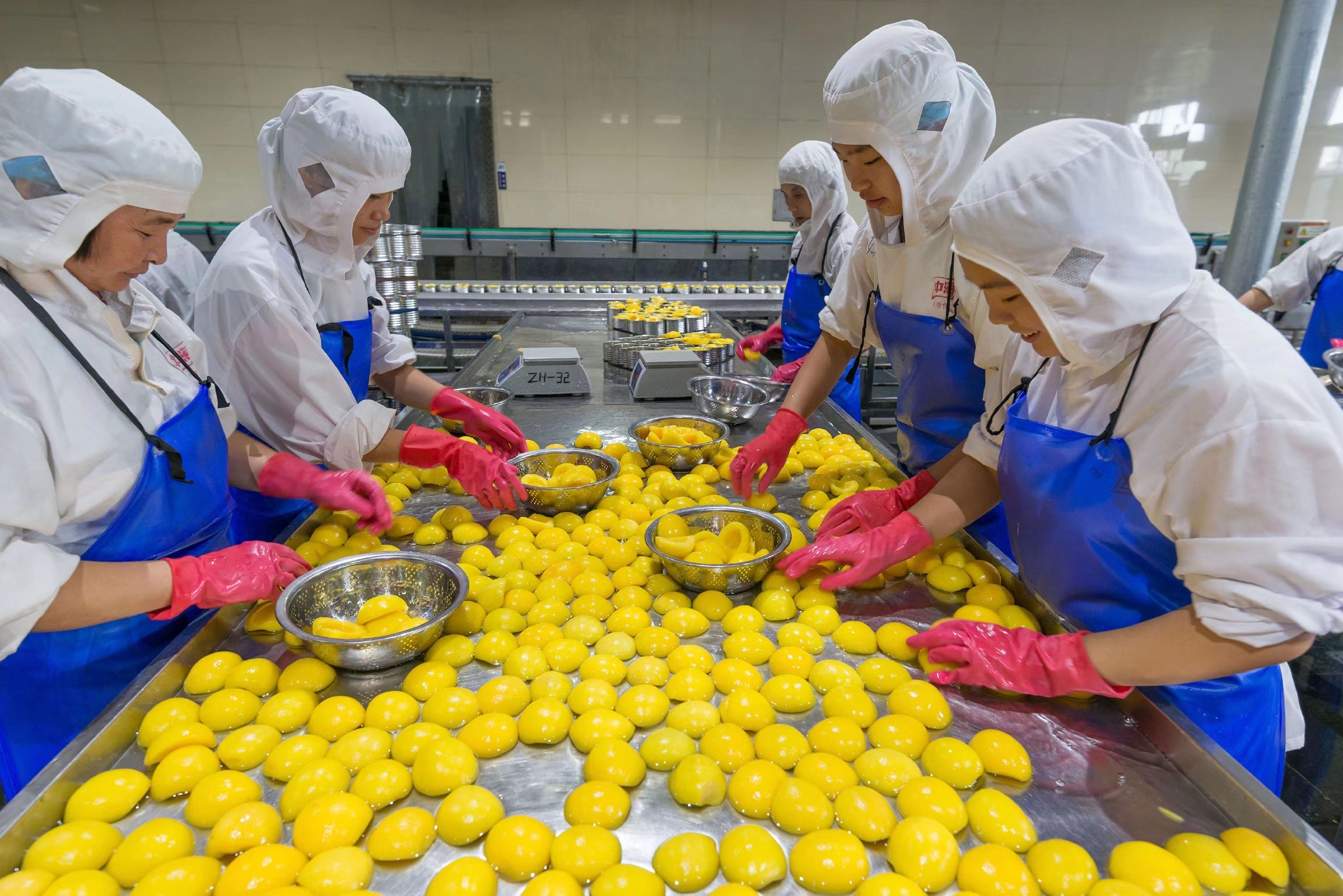 680克橘子罐头-遵化市亚太食品有限责任公司