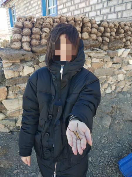 “蟲草姑娘”其實(shí)是犯罪團(tuán)伙請來模特擺拍。警方供圖