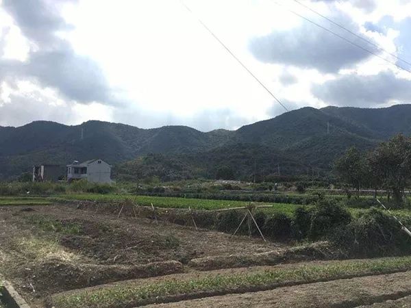 王某某原居住的上橫村已被拆遷。
