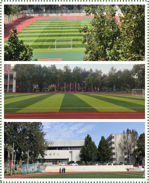 校园游玩攻略,校园游玩攻略大全