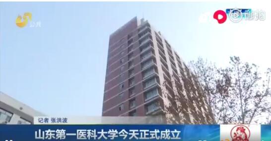 山東衛視公共頻道新聞截圖