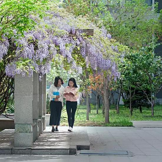 去往教学楼的路上