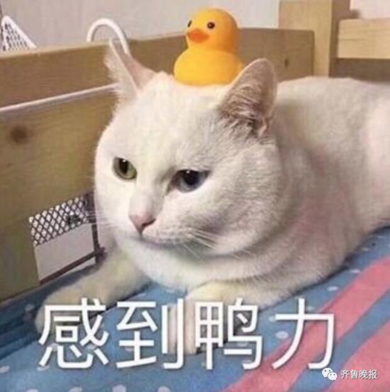 近日,最高人民法院制作的一份