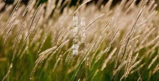 一候涼風至,