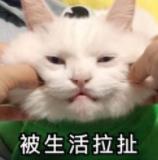 一夜暴富??为了旅行辞去工作??正常人想都不敢想好嘛!