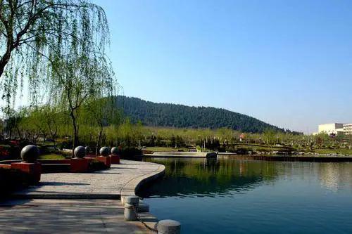 2020山东美术生文化_2020年山东艺术学院艺术类录取分数线(2)