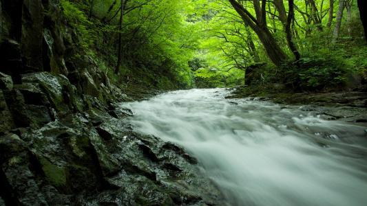 绿水青山-听泉望岳生态游