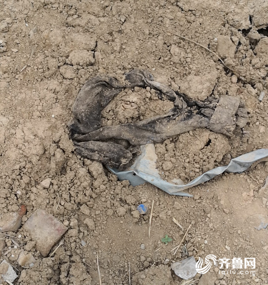 廢油布