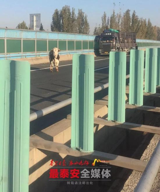 如果在高速行駛中