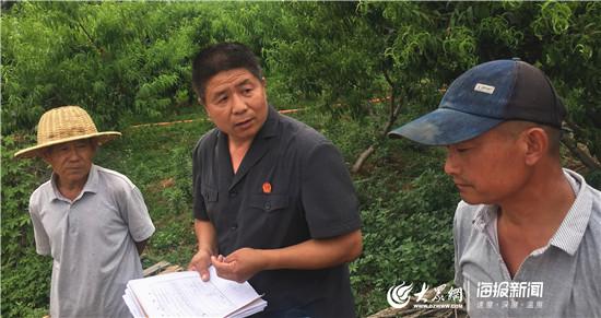 杨锋法官(中)在桃园里为当事人调解纠纷。