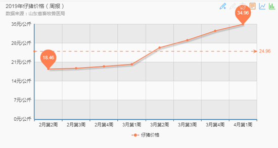 年后,山东省仔猪价格持续走高,几乎翻番