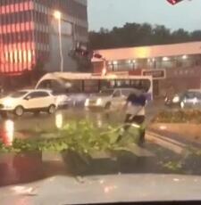 風雨中的陽光男孩: