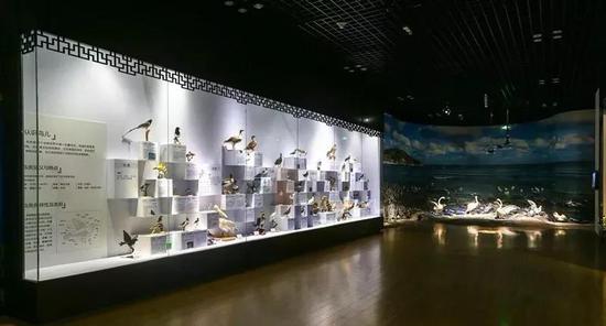 展覽時間:2018.5.18-待定