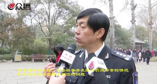 专家: