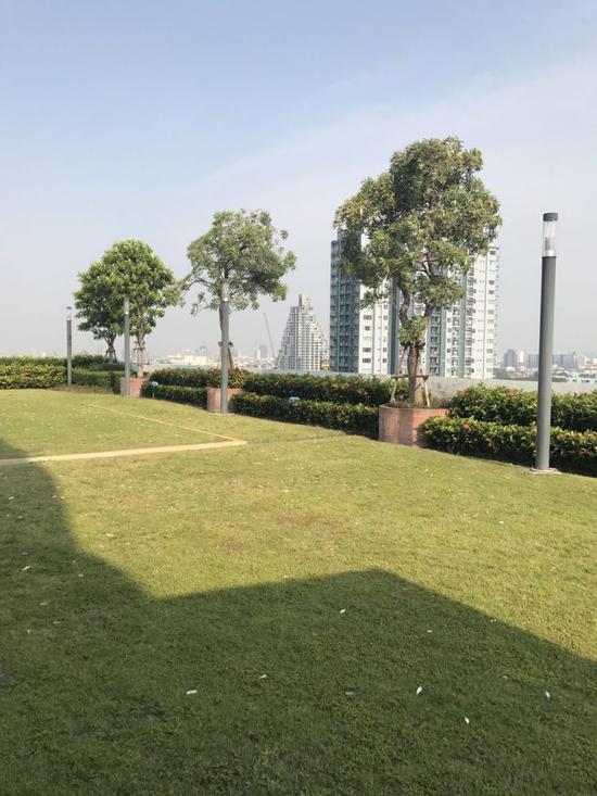 (瑞嘉普大学学生公寓顶楼花园)