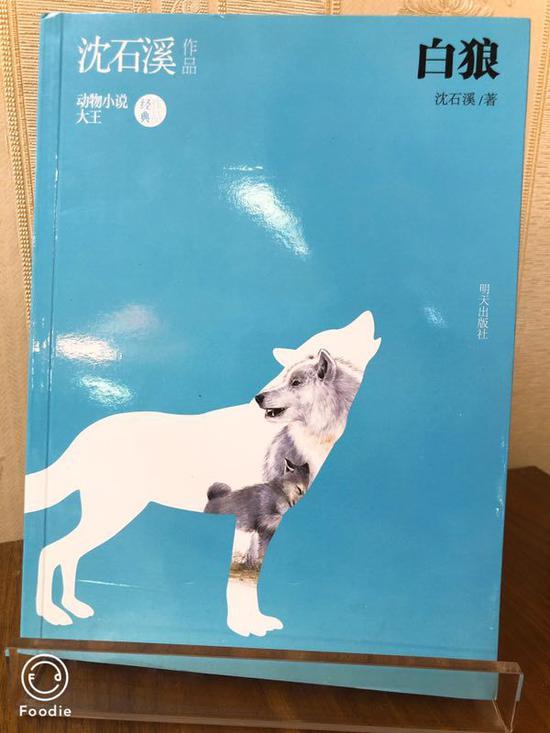 ★动物小说大王沈石溪经典作品!