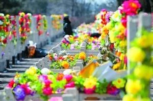 在扫墓祭奠亲人的时候