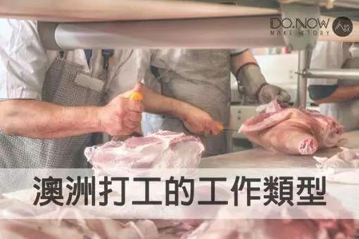 澳洲打工度假工作不只有殺牛!