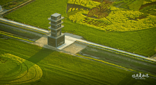 ┃山东乡村振兴实景(图片截取自《这里是山东》)
