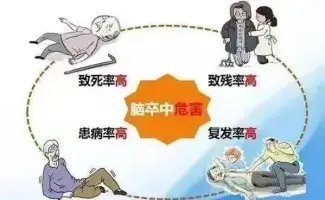 图片来源网络