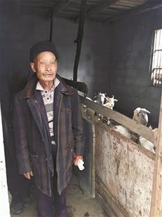 圖為李爹爹在羊圈住了近5個(gè)月