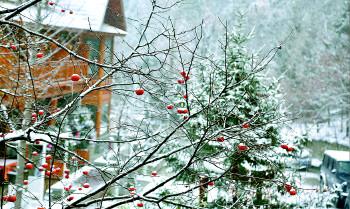 12月5日，借助济南头场雪，济南南部山区西营镇附近山水变成仙境一般。