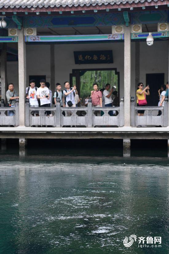 圖為趵突泉的三股泉水恢復噴涌景象。