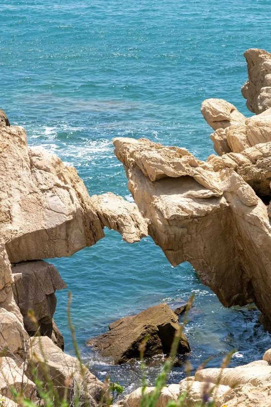青岛西海岸