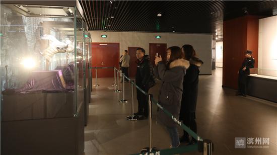 圆明园国宝仿制品“四大兽首”引市民们驻足拍照。
